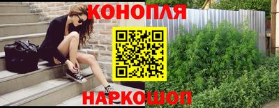 spice Дубна