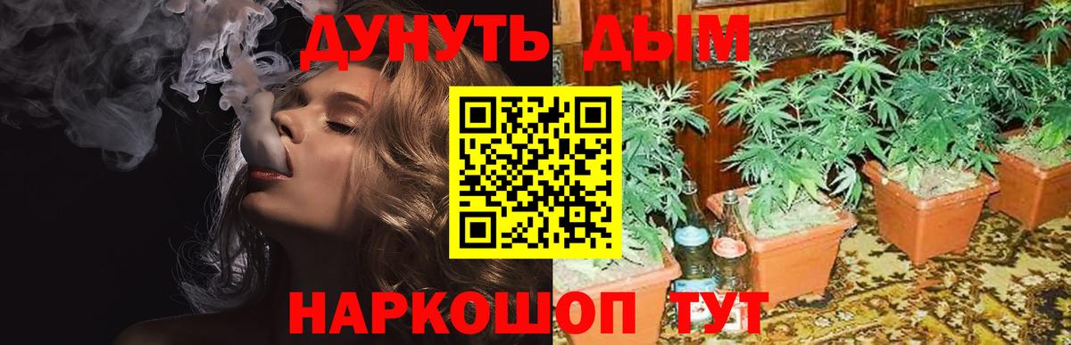 МАРИХУАНА индика Михайловск